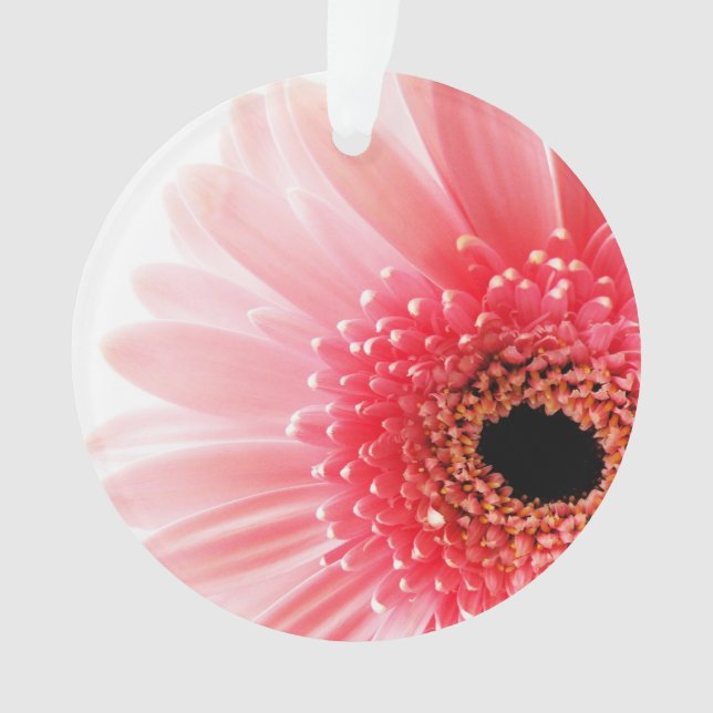 Gerbera Daisy  Ornament (Front)