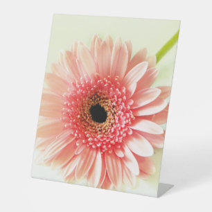 Gerbera Daisy Pedestal Sign