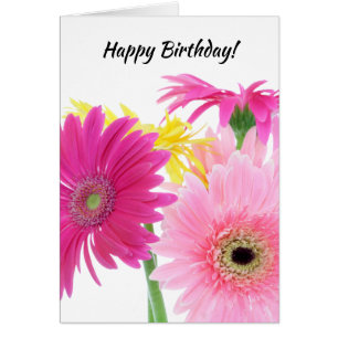 Gerbera Daisy Piink Flowers