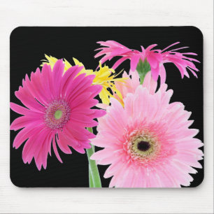 Gerbera Daisy Piink Flowers Mouse Pad