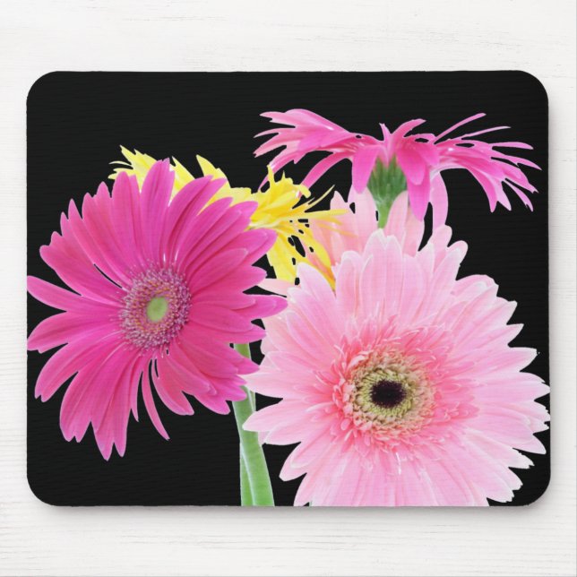 Gerbera Daisy Piink Flowers Mouse Pad (Front)