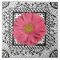 Gerbera Daisy Pink Tile