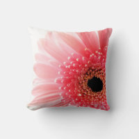 Gerbera Daisy Poster