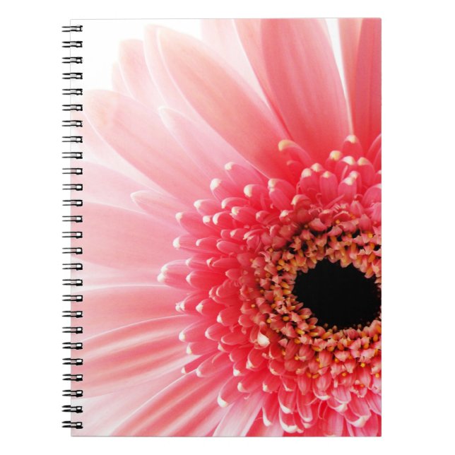 Gerbera Daisy Poster Notebook (Front)
