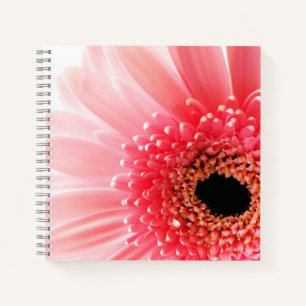 Gerbera Daisy Poster Notebook