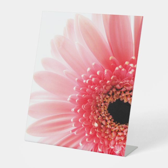 Gerbera Daisy Poster Pedestal Sign (Front)