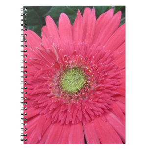 Gerbera Daisy Spiral Notebook