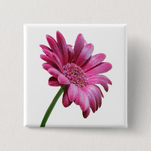 Gerbera Daisy Square Pin