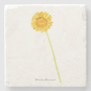 Gerbera daisy stone coaster