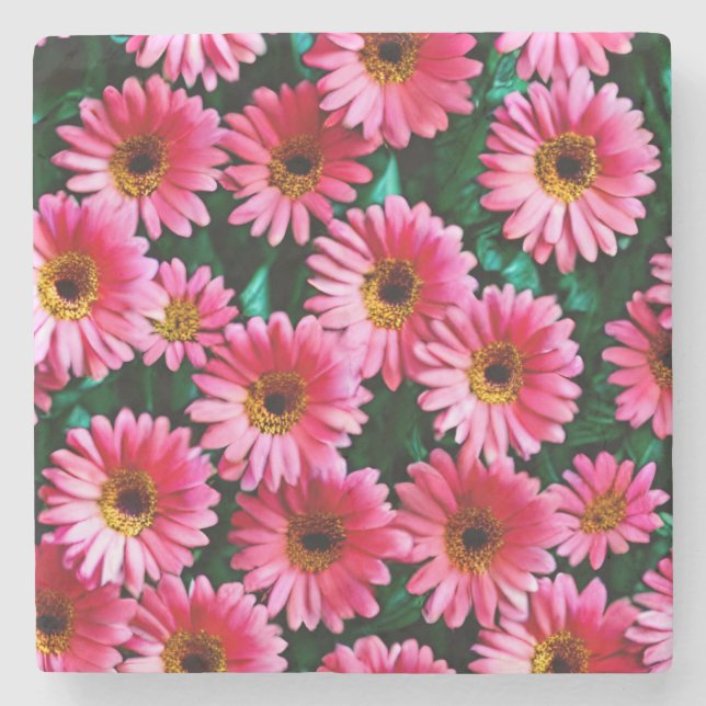 Gerbera Daisy Stone Coaster (Front)
