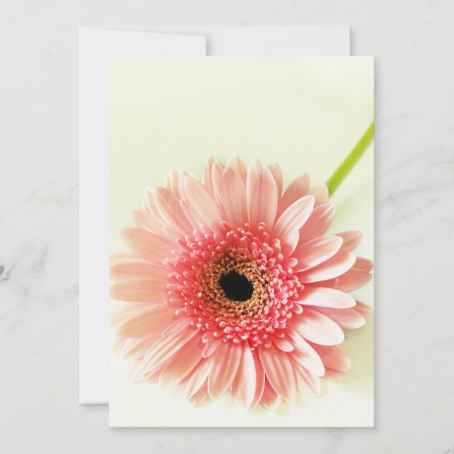 Gerbera Daisy  Thank You Card (Front)