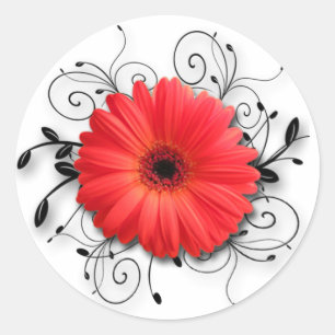 Gerbera Daisy Theme Classic Round Sticker