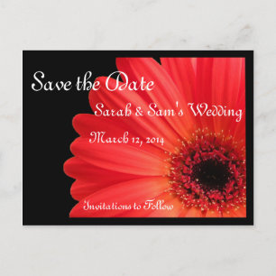 Gerbera Daisy Theme Save the Date Announcement Postcard