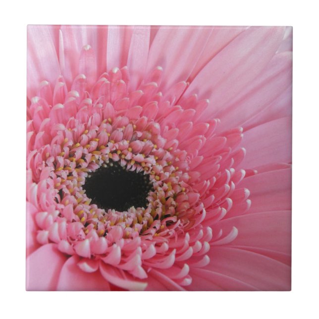 Gerbera Daisy Tile (Front)