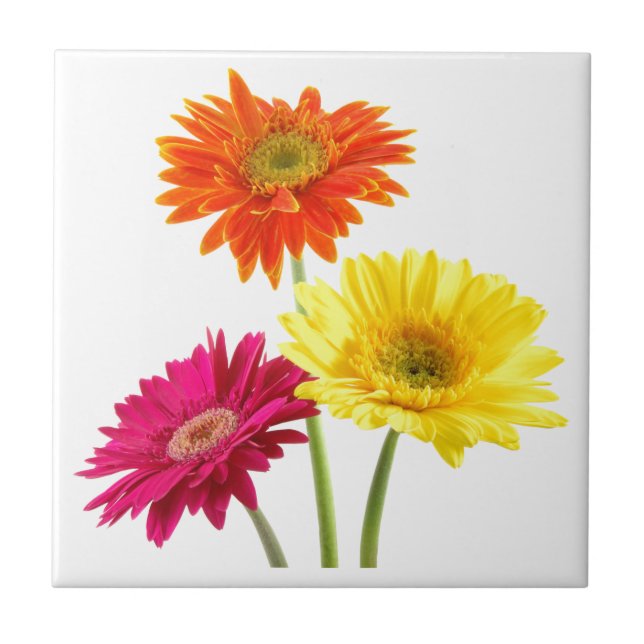 Gerbera Daisy Tile (Front)