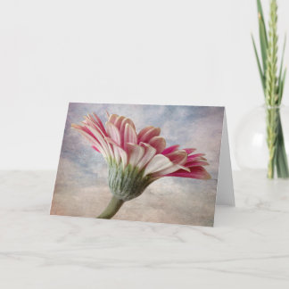 Gerbera flower card