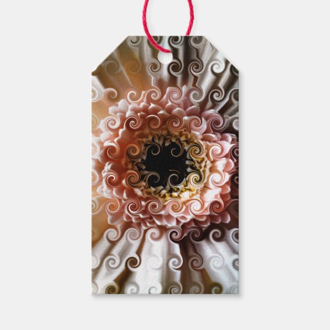 GERBERA FLOWER GIFT TAGS (Front)