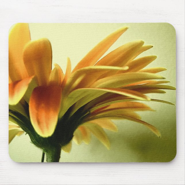 Gerbera Flower Mousepad (Front)