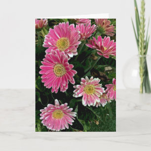 Gerbera Flowers Card