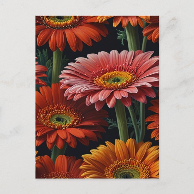 gerbera flowers postcard (Front)