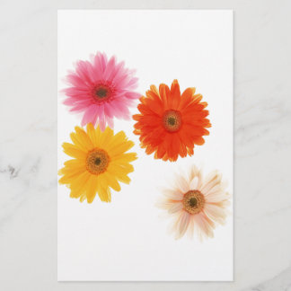 Gerbera Flowers Print Floating Flower Daisy Floral