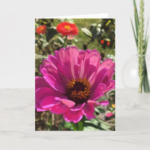 gerbera greeting card (blank inside)