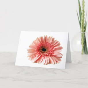 Gerbera Holiday Card