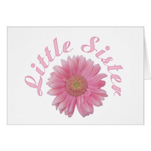 Gerbera Little Sister