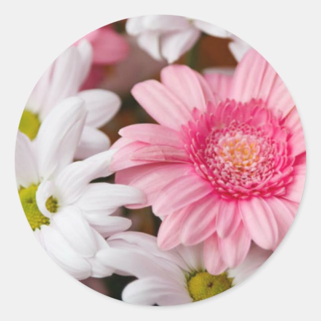 Gerberas And Chrysanthemums Classic Round Sticker (Front)