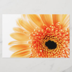 Gerberav Stationery