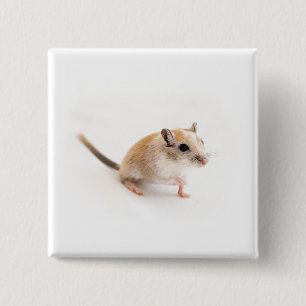 Gerbil Cute Baby Animal Pet Gerbils Template 15 Cm Square Badge