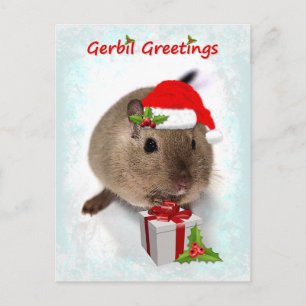 Gerbil Greetings Postcard
