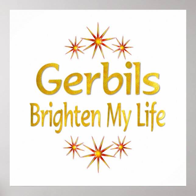Gerbils Brighten My Life Poster (Front)