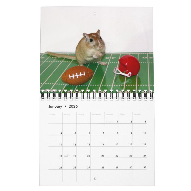 Gerbils Calendar (Reprint) (Jan 2026)