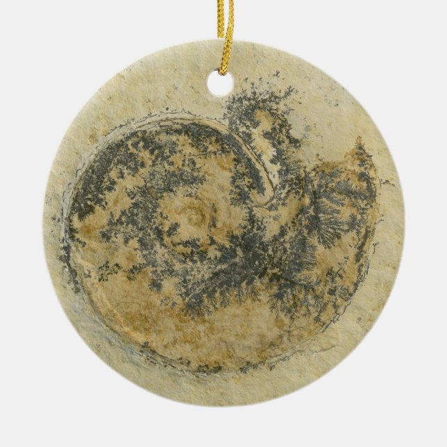 German Ammonite with Dendrites Ceramic Tree Decoration (Front)