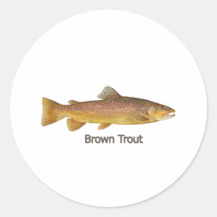 German Brown Trout Classic Round Sticker