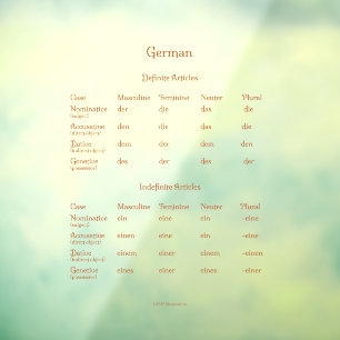 German Definite & Indefinite Articles Grammar 