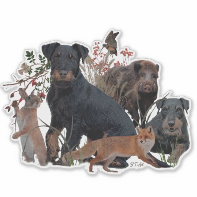 German Hunting Terrier (Jagdterrier)   (Front)