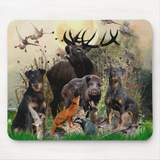 German Hunting Terrier (Jagdterrier)    Mouse Pad (Front)
