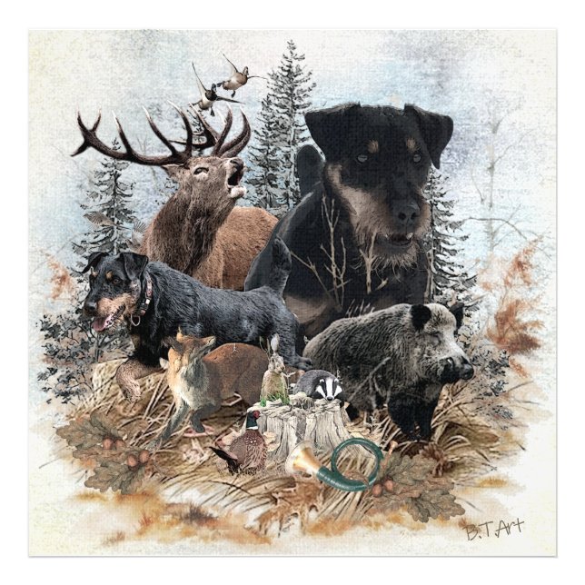 German Hunting Terrier (Jagdterrier)  Photo Print (Front)