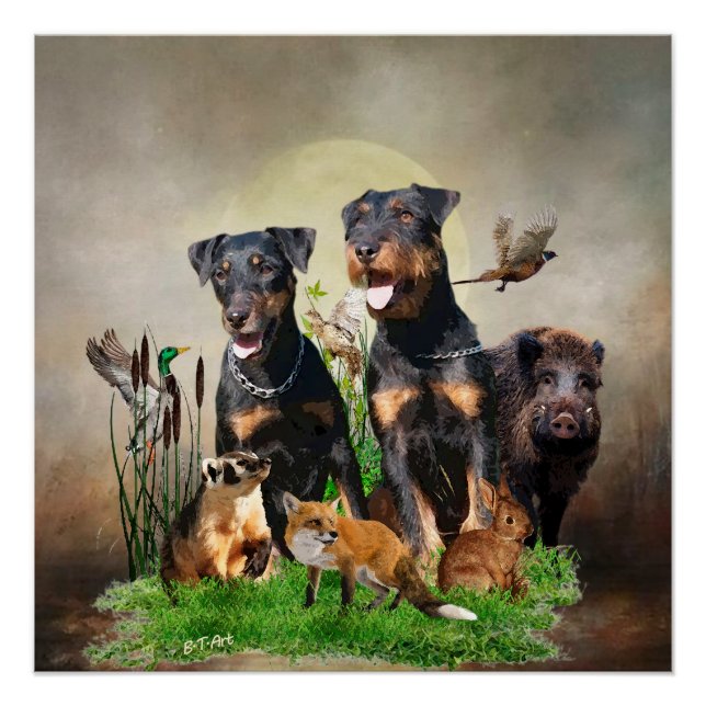 German Hunting Terrier (Jagdterrier)   Poster (Front)