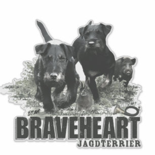 German Hunting Terrier, The Jagdterrier , Art