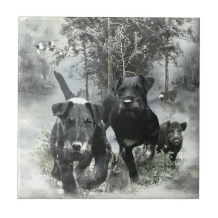 German Hunting Terrier, The Jagdterrier , Art  Tile