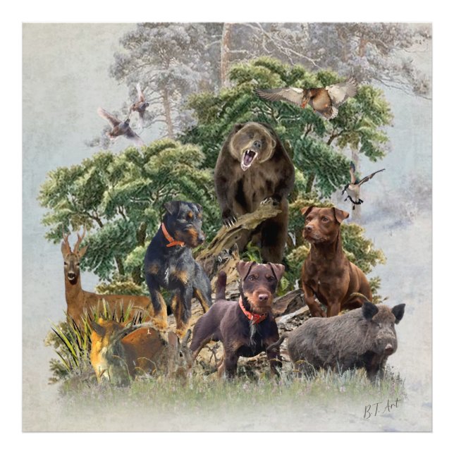 German Jagdterrier , Always ready to hunt   Photo Print (Front)