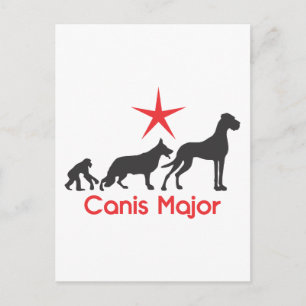 German Mastiff Canis Major Postcard