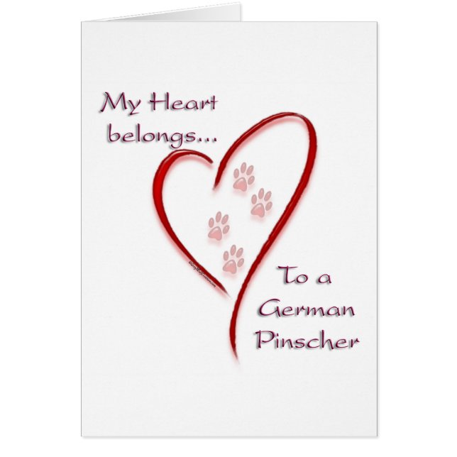 German Pinscher Heart Belongs (Front)