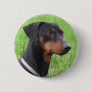 german pinscher.png 6 cm round badge