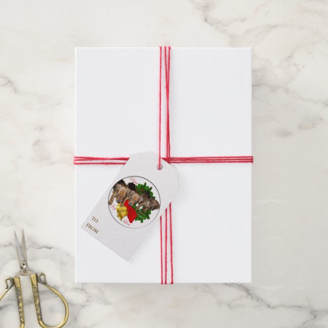 German Pinscher Puppies Christmas Gift Tags (With Twine)