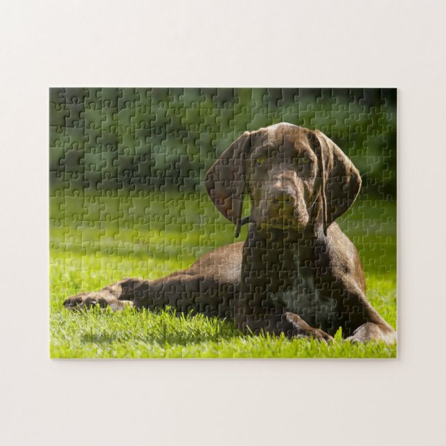 German Pointer Dog. Jigsaw Puzzle (Horizontal)