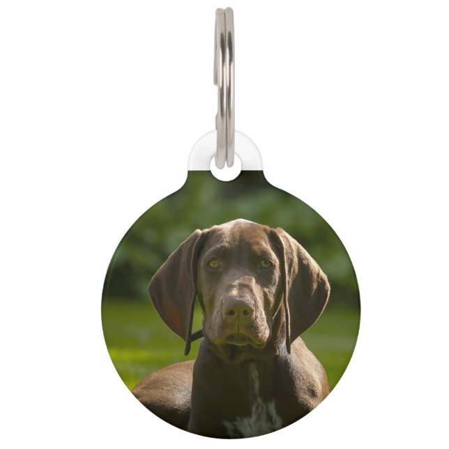 German Pointer Dog. Pet Tag (Front)